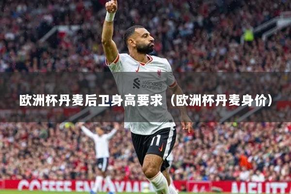 欧洲杯丹麦后卫身高要求（欧洲杯丹麦身价）