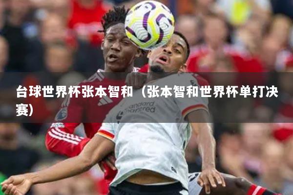 台球世界杯张本智和（张本智和世界杯单打决赛）