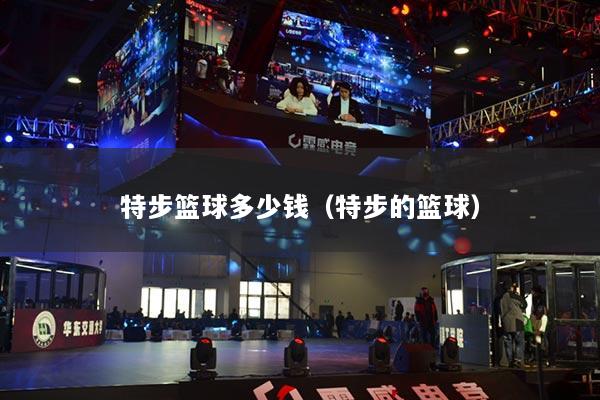 特步篮球多少钱(特步的篮球)