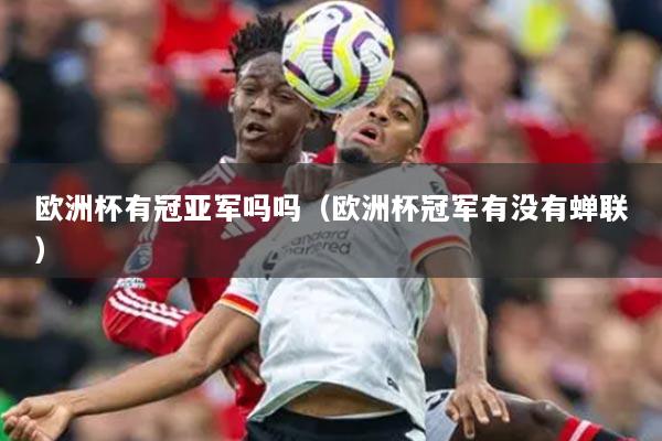 欧洲杯有冠亚军吗吗（欧洲杯冠军有没有蝉联）