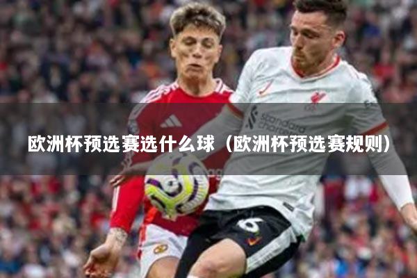 欧洲杯预选赛选什么球（欧洲杯预选赛规则）