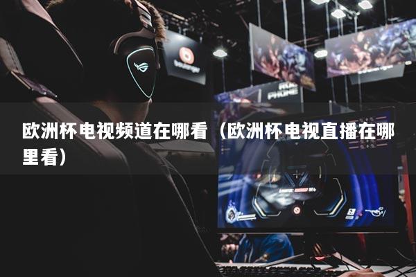 欧洲杯电视频道在哪看（欧洲杯电视直播在哪里看）