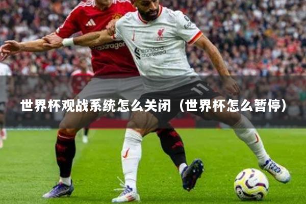 世界杯观战系统怎么关闭（世界杯怎么暂停）
