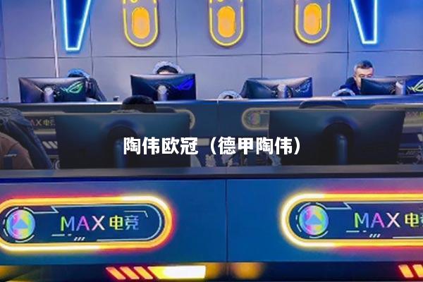 陶伟欧冠（德甲陶伟）