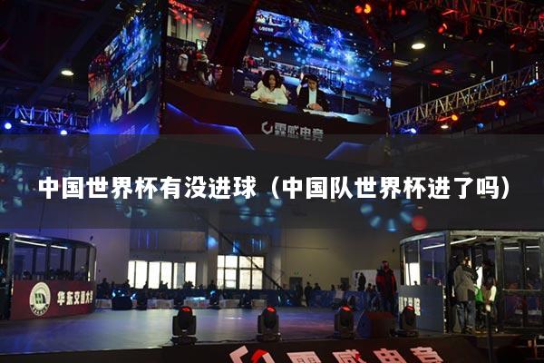 中国世界杯有没进球（中国队世界杯进了吗）