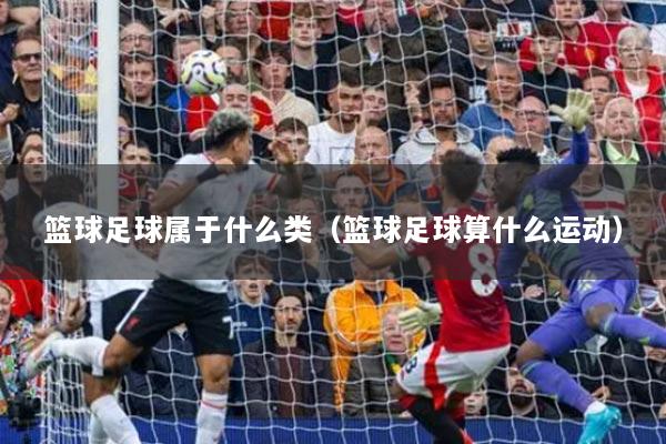 篮球足球属于什么类（篮球足球算什么运动）